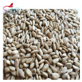 Direct Manufacture Sale Sunflower Seed Kernels Sunflower Kernels